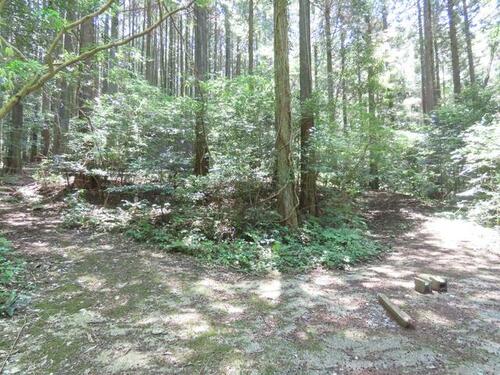 Land, 福岡県 福岡市