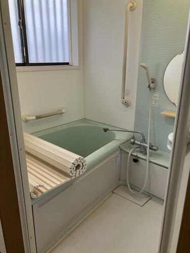 Image 7