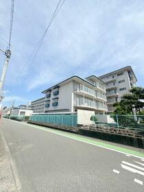 福岡県福岡市南区向新町2丁目