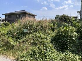 千葉県八街市大木