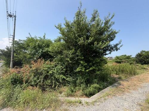 土地, 徳島県 吉野川市