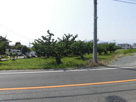 山梨県南アルプス市小笠原