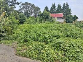 栃木県鹿沼市南上野町
