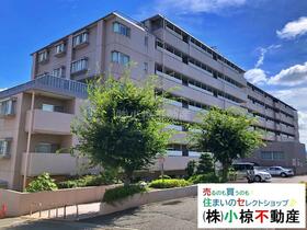 ペット〇リフォーム〇イーアス歩１０分、月５万台