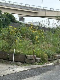 千葉県東金市台方