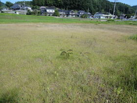 広島県世羅郡世羅町大字本郷