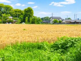 埼玉県坂戸市大字塚越