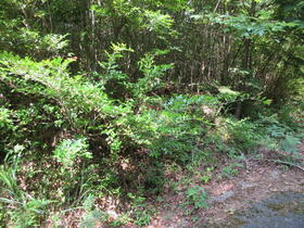 奈良県奈良市都祁馬場町