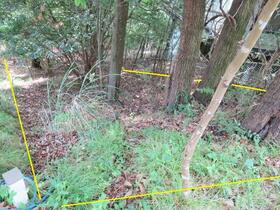 静岡県伊豆市堀切