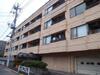 ヒルサイドコート 1階 築41年3ヶ月の賃貸物件