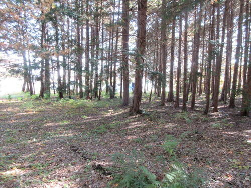 Land, Mashiko Town, Tochigi