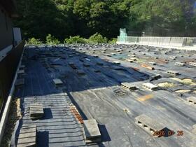 三重県伊勢市二見町光の街