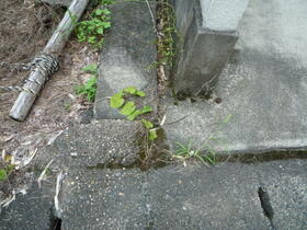 京都府京都市右京区梅ケ畑向ノ地町