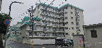 グリーンマンション野間