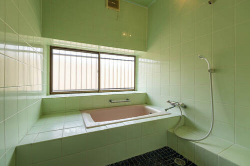 Image 11