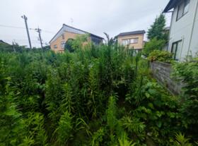 石川県金沢市幸町