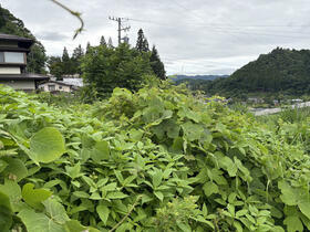 岐阜県高山市三福寺町