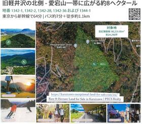 長野県北佐久郡軽井沢町大字軽井沢