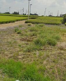 静岡県磐田市匂坂上