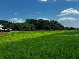 東京都八王子市梅坪町