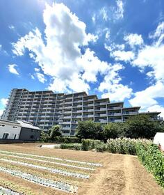 東京都杉並区井草２丁目