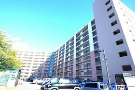 市ドリームハイツ　１号棟