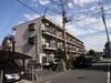 グリンヒル横山 3階 築40年5ヶ月の賃貸物件