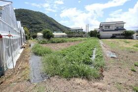 静岡県沼津市下香貫塩満