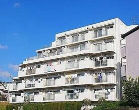 南浦和ダイヤモンドマンション