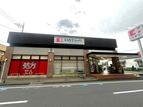 成城アンバサダー