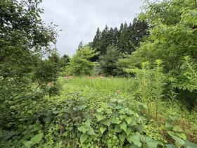 岩手県奥州市胆沢小山字新田