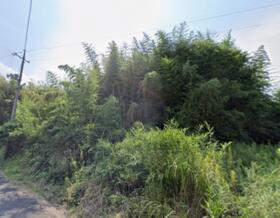 山口県熊毛郡田布施町大字麻郷