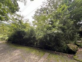神奈川県足柄下郡箱根町仙石原