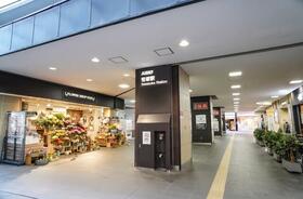 東京都世田谷区大原１丁目