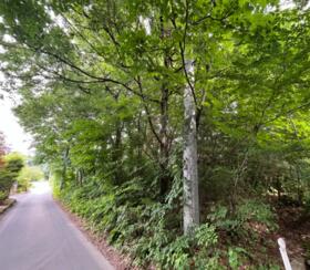 長野県安曇野市穂高有明