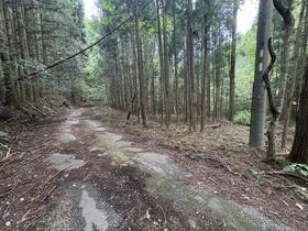 愛知県新城市名号字横川
