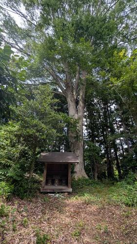 detached 福島県相馬郡新地町杉目字八郎