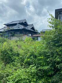 和歌山県紀の川市名手市場