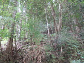 静岡県賀茂郡松崎町明伏