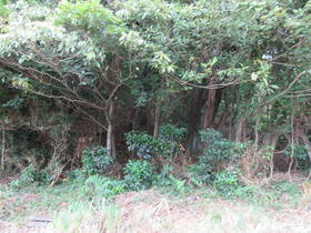 静岡県賀茂郡河津町川津筏場