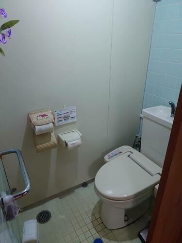 Image 11
