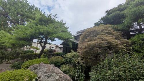 Image 11