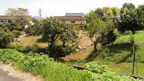 大分県由布市庄内町大龍