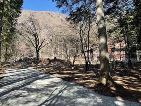 長野県北佐久郡軽井沢町大字軽井沢泉の里