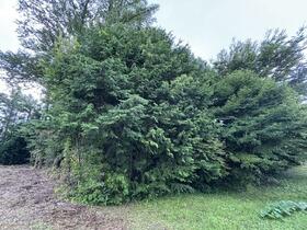 山梨県南都留郡富士河口湖町小立