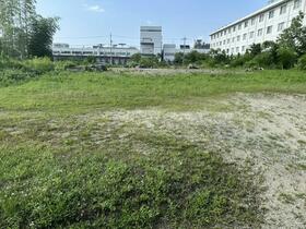 奈良県葛城市薑