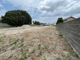 徳島県板野郡藍住町徳命字元村