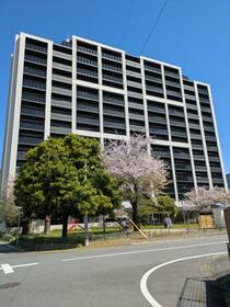ブランシエラ熊本中央