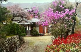 神奈川県相模原市緑区青根