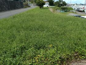 福島県本宮市本宮字塩田